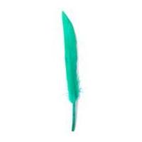 impex duck craft feathers 10cm green