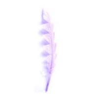 Impex Shaped Craft Feathers With Glitter Lilac