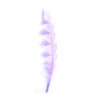 impex shaped craft feathers with glitter lilac