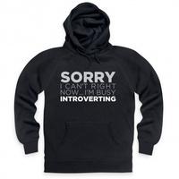 I\'m Busy Introverting Hoodie