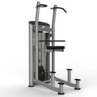 Impulse Escalate Weight Assisted Chin Dip Combo Machine