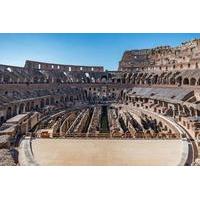 In-Depth Colosseum Tour with Roman Forum and Palatine Hill