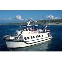 inis mor aran islands ferry from doolin