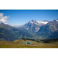 Independent Bernese Oberland and Jungfrau Region Day Trip from Lucerne