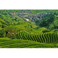incredible longsheng day tour to longji rice terraces and zhuang yao c ...