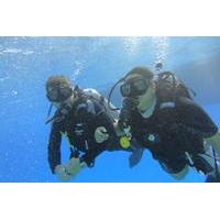 Introduction to Scuba Diving in Sharm el Sheikh