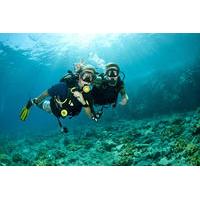Introductory Scuba Diving in Bali