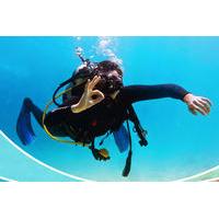 Introductory Scuba Diving Class in Nha Trang