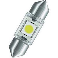 Interior LED festoon Neolux Bright White C5W 0.5 W (Ø x L) 9 mm x 31 mm