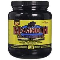 Interactive Nutrition 1 kg Gluta...