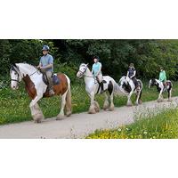 Introduction to Horse Riding in Nottinghamshire