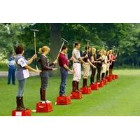 Introductory Polo Lessons