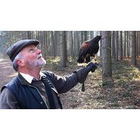 Introduction to Birds of Prey for Two in Derbyshire