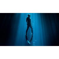 Introduction to Freediving in Cornwall