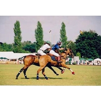 Introductory Polo Lessons