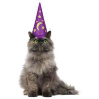 Inflatable Wizard Hat For Cats