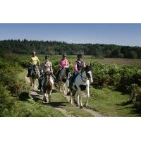 introduction to horse riding for one