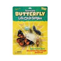 Insect Lore Painted Lady - Butterfly LifeCycle Stages