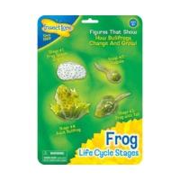 insect lore frog life cycle stages