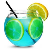 Individual Mini Cocktail Fish Bowl 20oz / 568ml (Pack of 4)