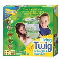 insect lore living twig stick insect kit