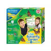 Insect Lore Live Butterfly Garden