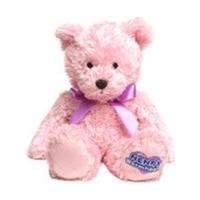 Intelex Junior Warmheart