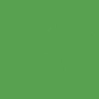 Interfit Chroma Green Background 2.9x6m