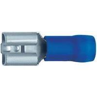 insulated female receptacle blue 15 25mm din 46245 klauke 8303