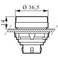 Indicator switch rippled lens Tr...