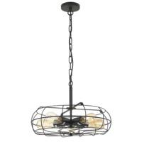 Industrial Caged Pendant Ceiling Light Fixture in Matt Black