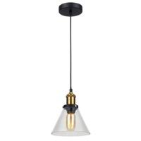 Industrial Pendant Ceiling Light with Clear Glass Shade and Brass Metal