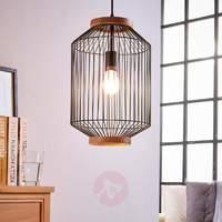 Interesting hanging lamp Ceris, in shape of cage