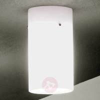 Integrative ceiling light TUBE