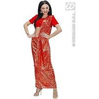 Indian Sari Costume Large For Tv Adverts & Commercials Fancy Dress