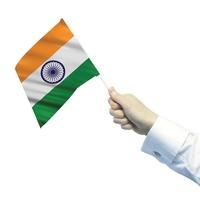 India Hand Waving Flag