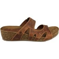 interbios w womens mules casual shoes in brown