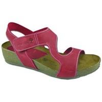 Interbios summer sandals women\'s Sandals in red
