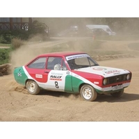 Introductory Rally Course - Half Day
