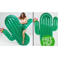 Inflatable Pool Cactus - Free P&P