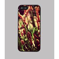 iphone 5 field of plants premium quality phone case