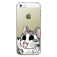 iPhone 5/iPhone 5S compatible Cartoon/Special Design/Novelty/Anime Other