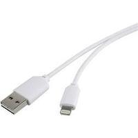 iPad/iPhone/iPod Data cable/Charger lead [1x USB 2.0 connector A - 1x Apple Dock lightning plug] 1 m White Renkforce