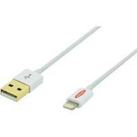 iPad/iPhone/iPod Charger lead/Data cable [1x USB 2.0 connector A - 1x Apple Dock lightning plug] 1 m White ednet
