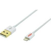 iPad/iPhone/iPod Charger lead/Data cable [1x USB 2.0 connector A - 1x Apple Dock lightning plug] 0.50 m White ednet