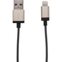 iPad/iPhone/iPod Data cable/Charger lead [1x USB 2.0 connector A - 1x Apple Dock lightning plug] 1.20 m Gold Verbatim