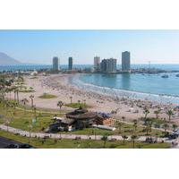 iquique city tour