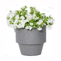 Iqbana Conical Planter In Grey 25 x 25 x 22.5cm