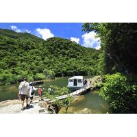 iriomote island tour urauchi river cruise maryudo falls hike and kayak ...