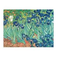Irises in Garden By Vincent van Gogh